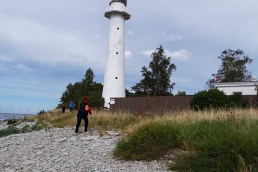 vormsi reis