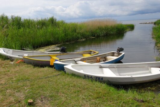 Saaremaa reis, Abruka reis