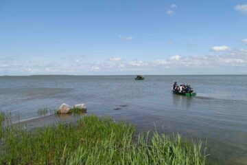 Kõrgelaid