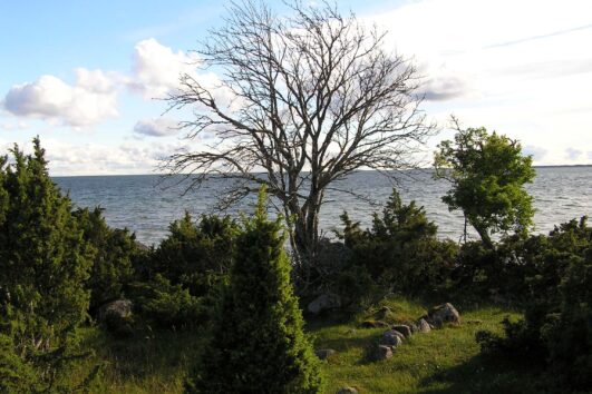 Saarnaki: ajatu rännak Väinamere hällis