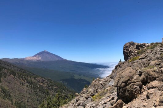 Tenerife ja La Gomera kultuuri- ja loodusreis