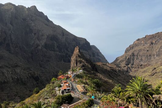 Tenerife kultuuri- ja loodusreis